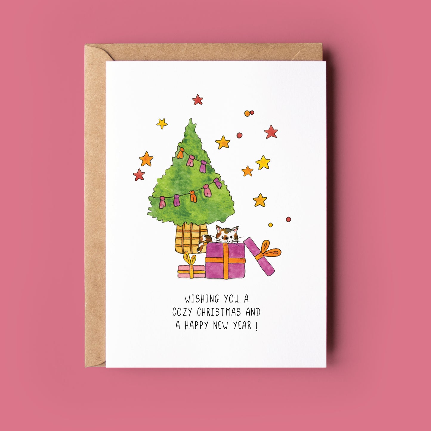 Kerstkaartje cadeaupoes